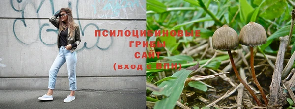 мяу мяу мука Горнозаводск