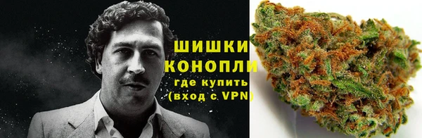 apvp Горняк