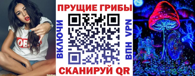 Галлюциногенные грибы прущие грибы  Купить  Бор 